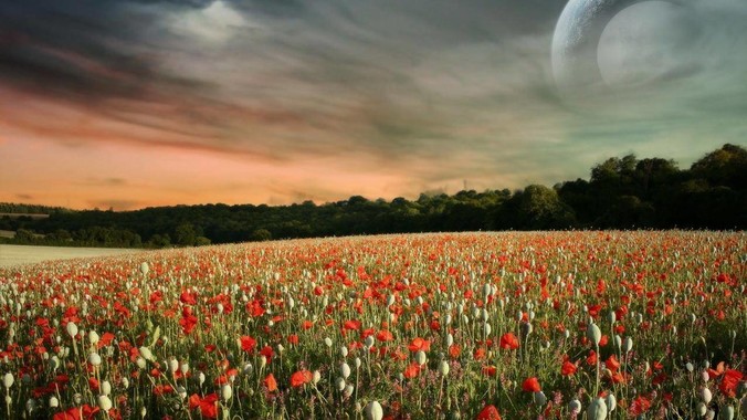 本人女20，平胸跟男生一样怎么办 ?